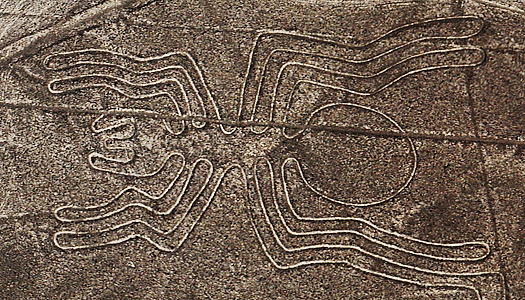 Nazca Line Spider